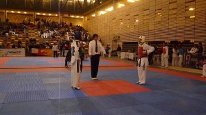 Copa Cordillera 2011
