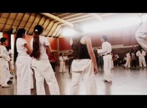 Seminario de Taekwondo Dance. Noviembre 2013.