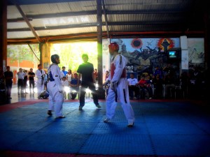 Copa Dama Europa 2013.